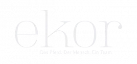 ekor Magazin